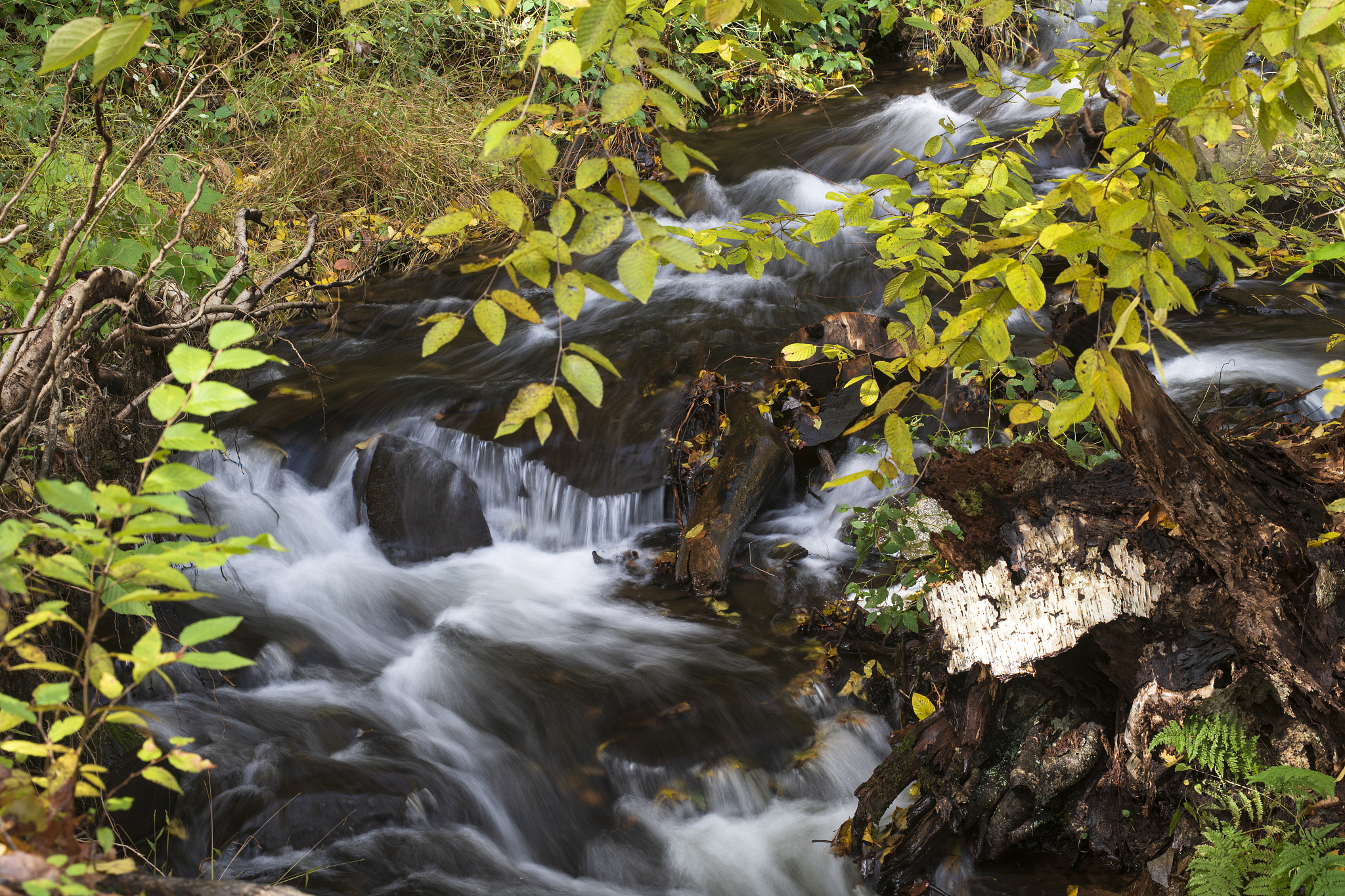 云南省司法学校2023年专业有哪些