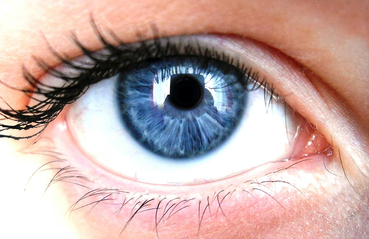 detail of human eye