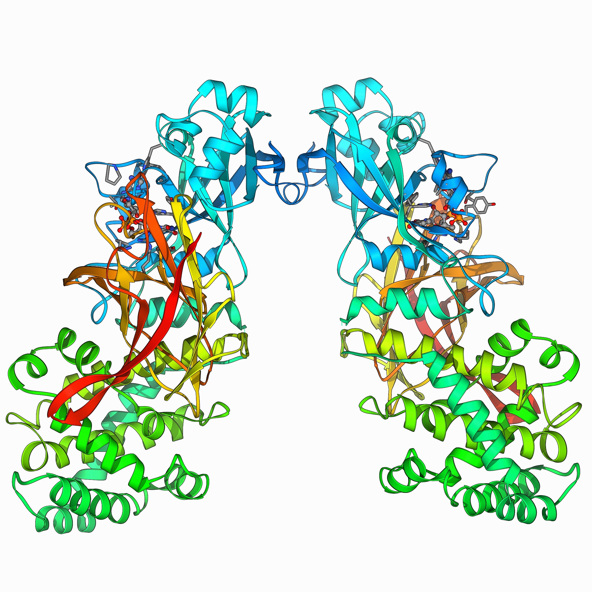 脂质体亲脂性在有机材料中的应用 - 药物传递、化妆品及更多