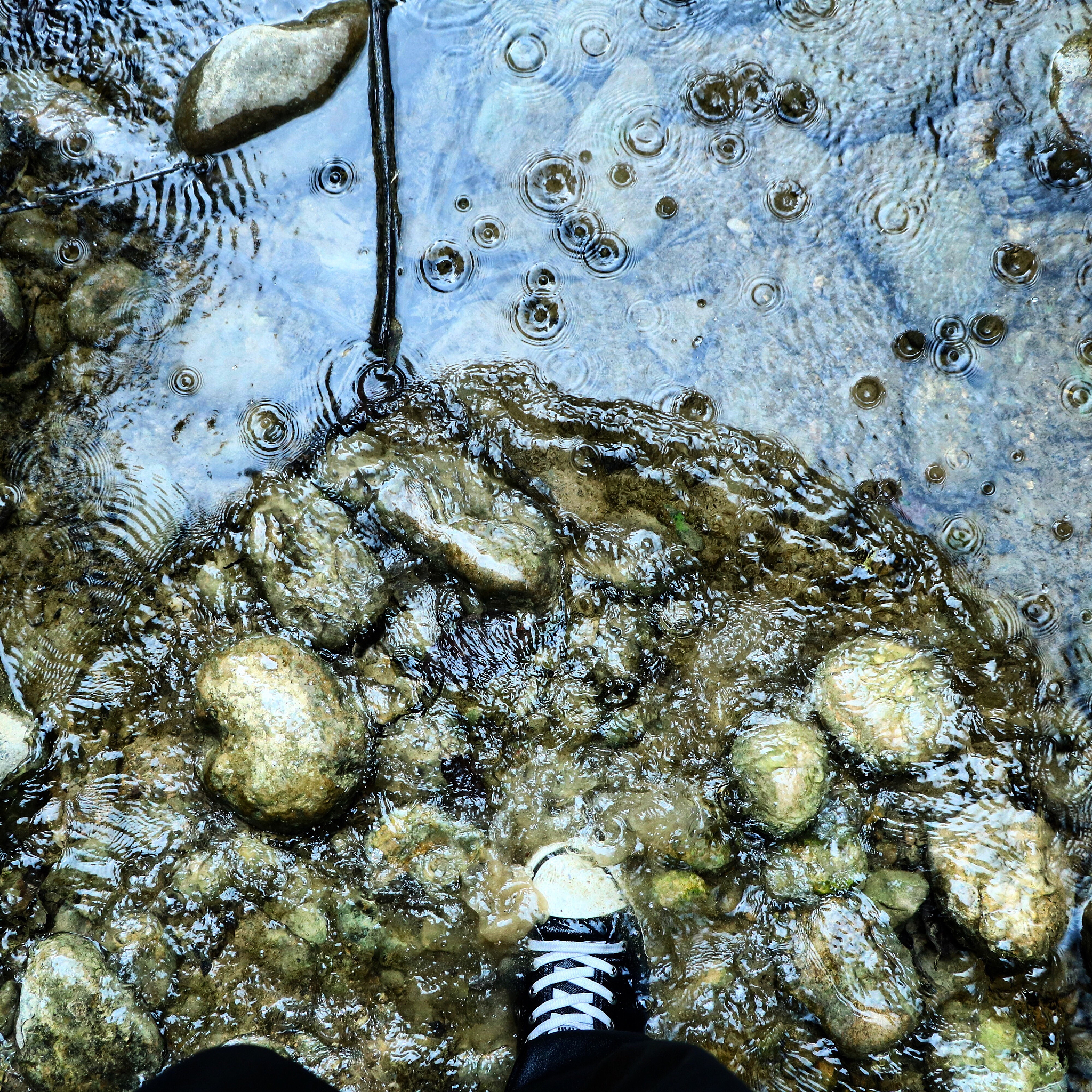 过氧化氢能去除水族箱水面漂浮物吗？