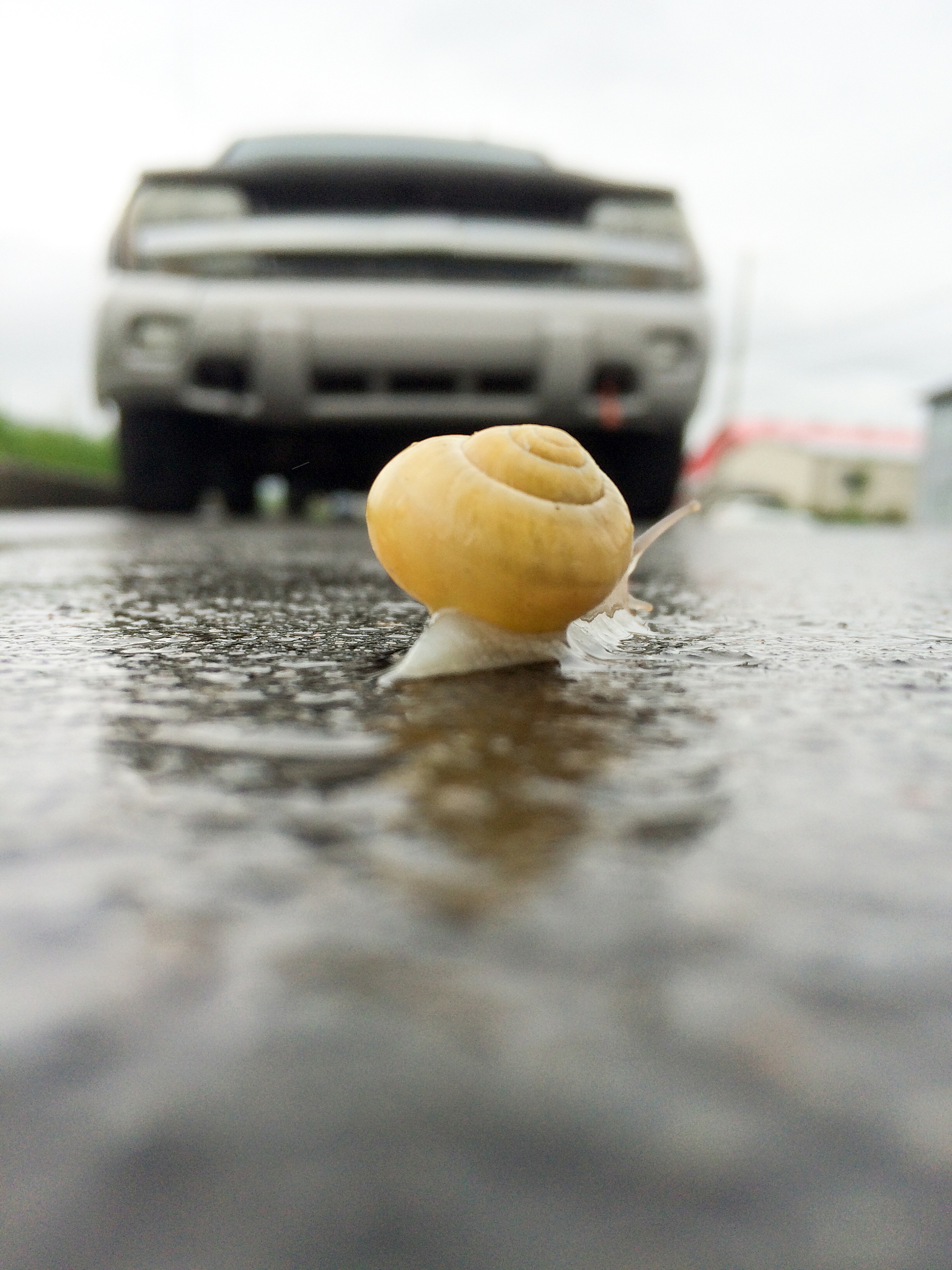 汽车燃油泵课程思政融合：培养责任、合作、安全、创新和环保意识