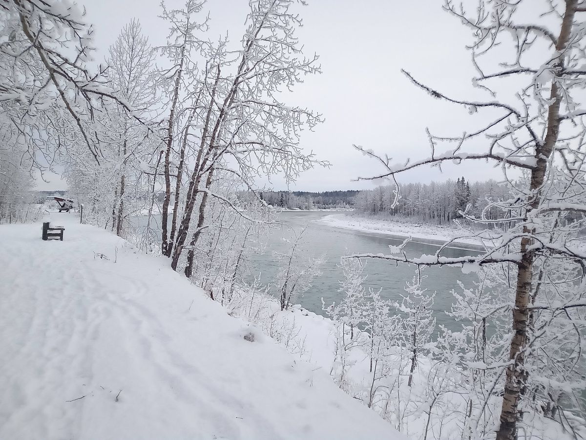 长春冬日风景：银装素裹的童话世界
