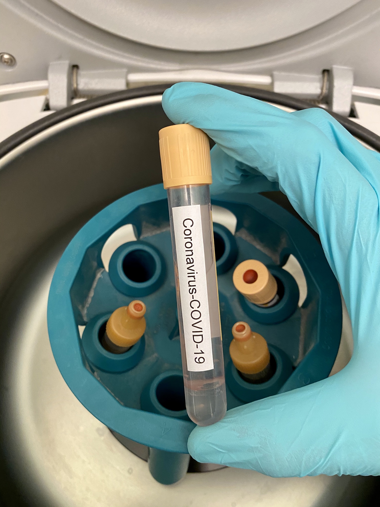 楚雄医药高等专科学校开设临床医学专业吗？