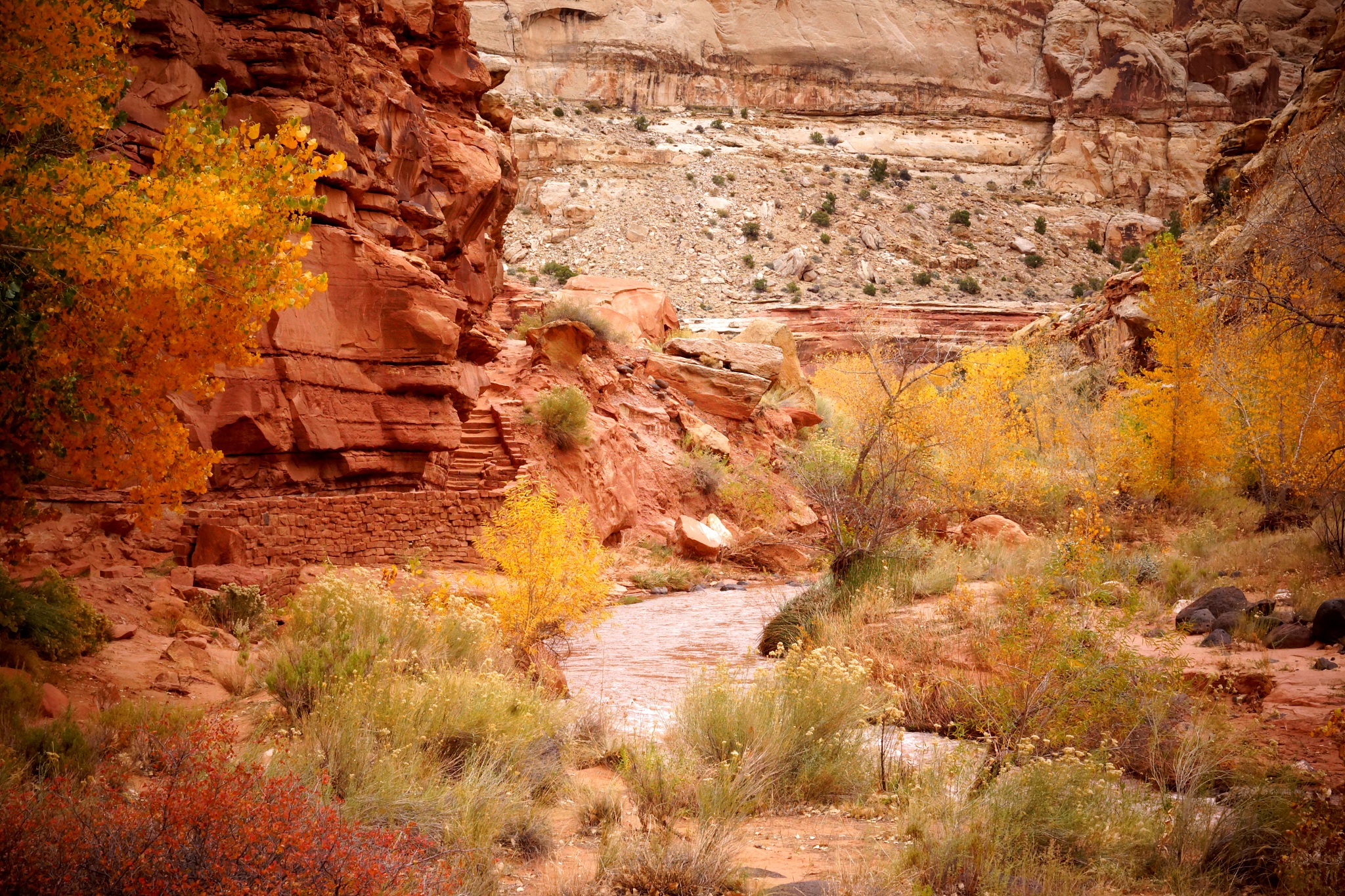 垂直型GaN p-i-n二极管的发展过程