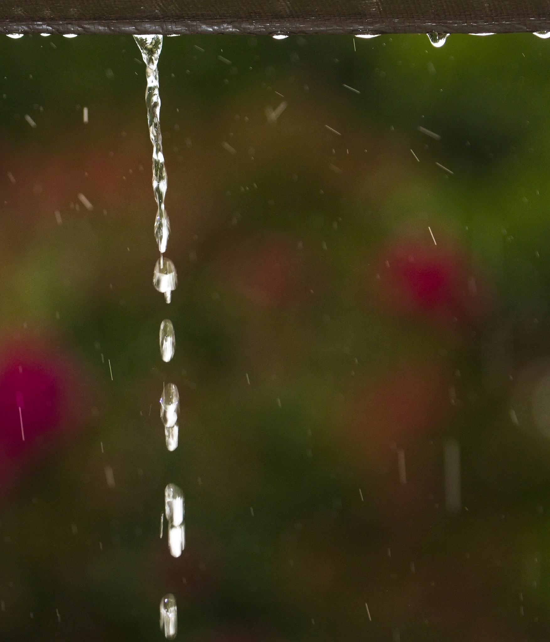 下雨取名四个字，10个诗意名字推荐