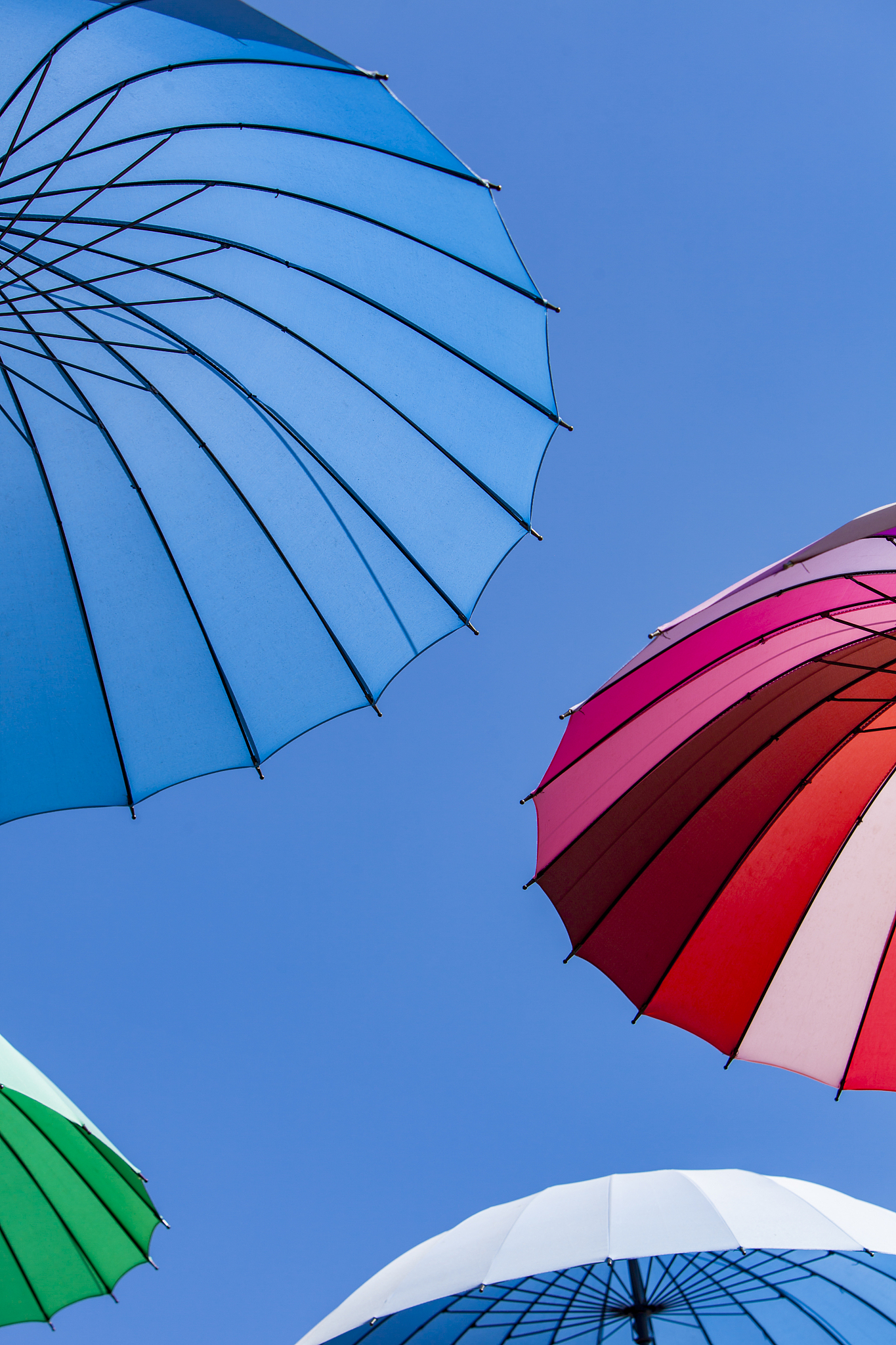 umbrellas