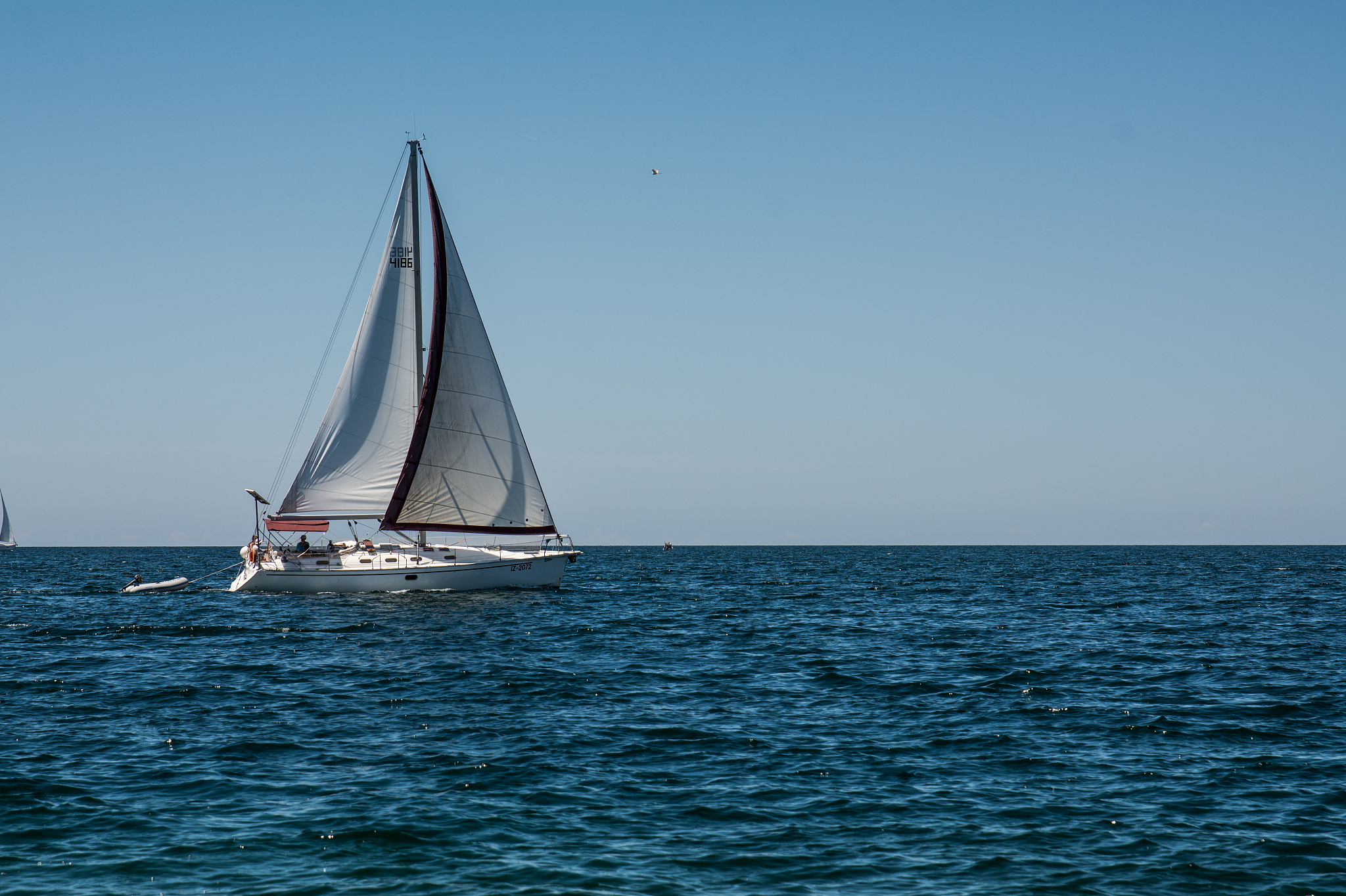 sailing at sea with sailing boat.