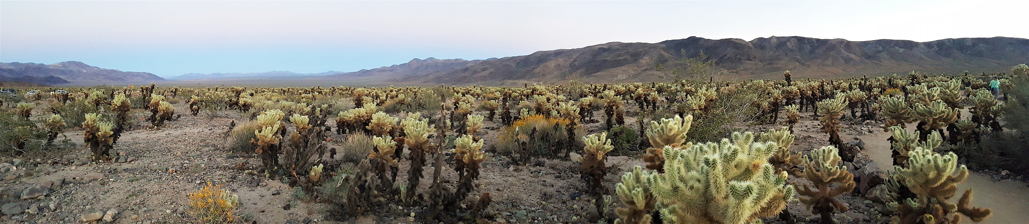 人活着的意义：幸福、成长、关系、目标和传承 - 探索生命价值