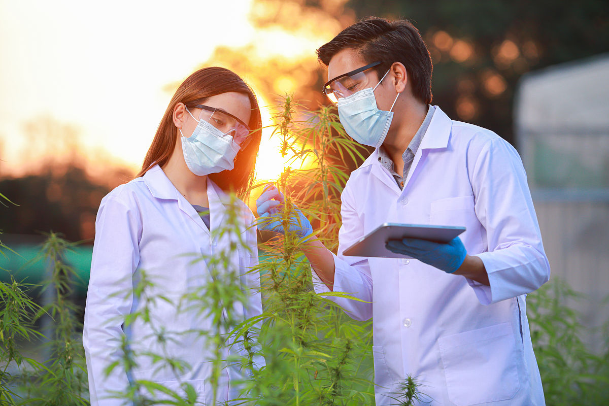 黔西南民族职业技术学院中草药栽培与加工技术专业课程设置有哪些