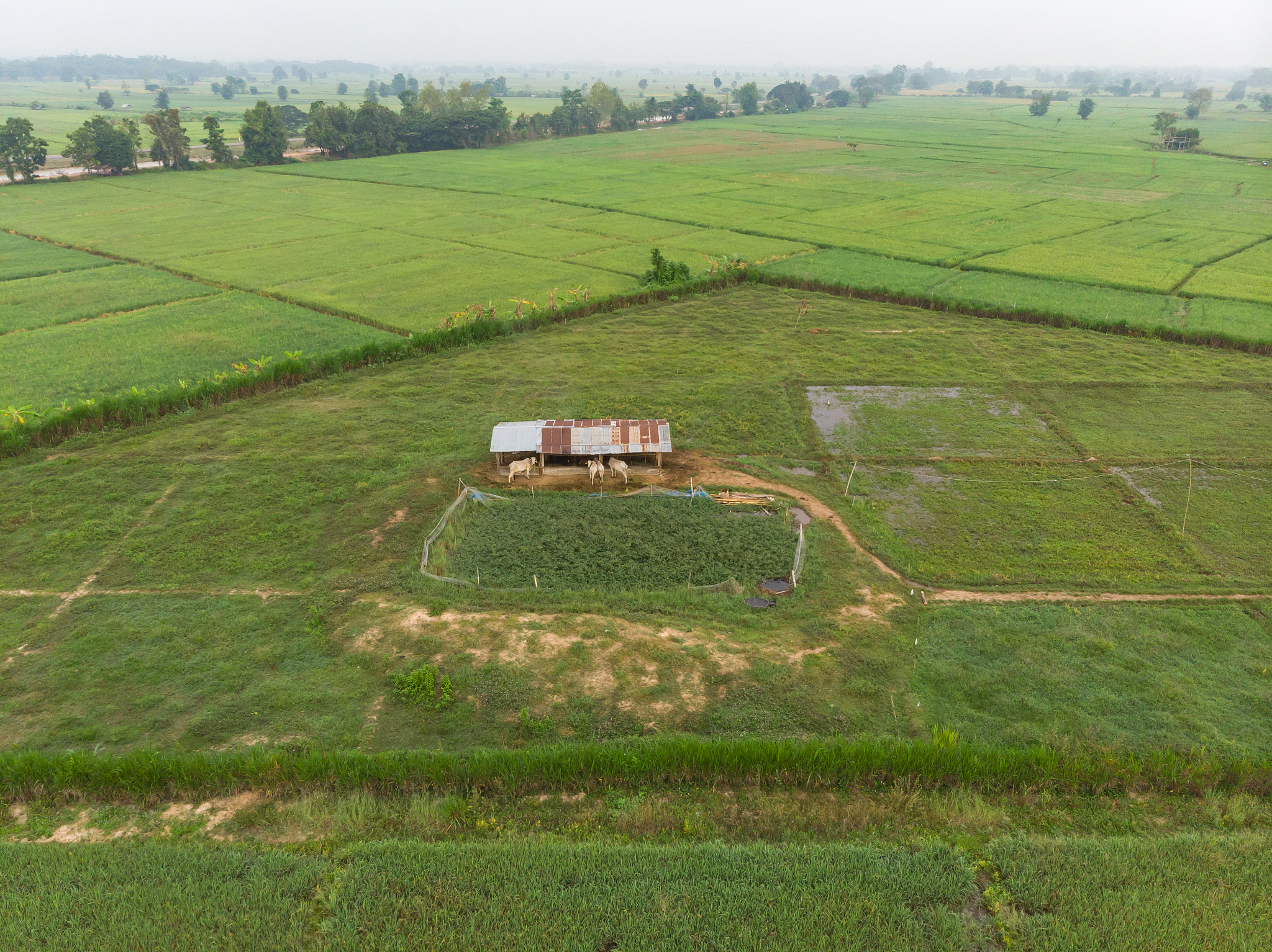 耕地和永久基本农田保护措施及成效