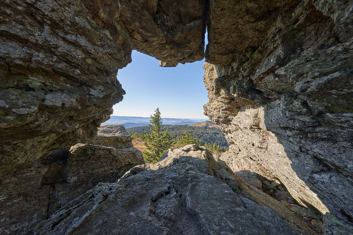 方舟：生存进化国际版手游更新：全新生物、地图、任务系统上线！