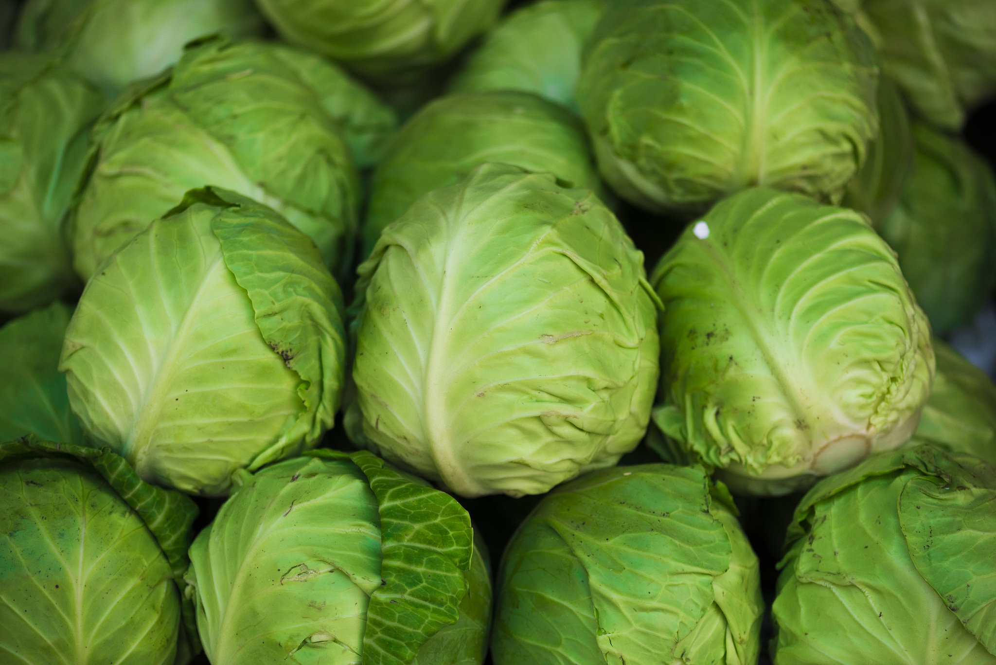 小学语文五年级上册课文《桂花雨》的两课时教案