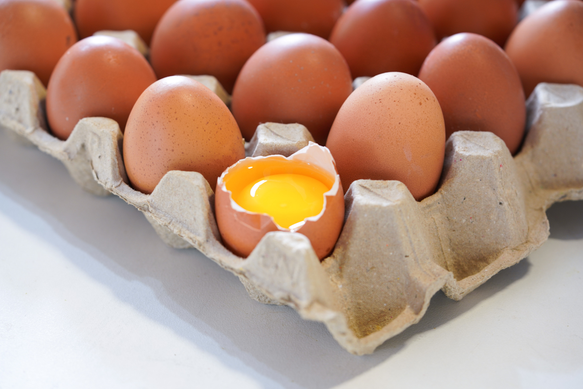 chicken eggs protein