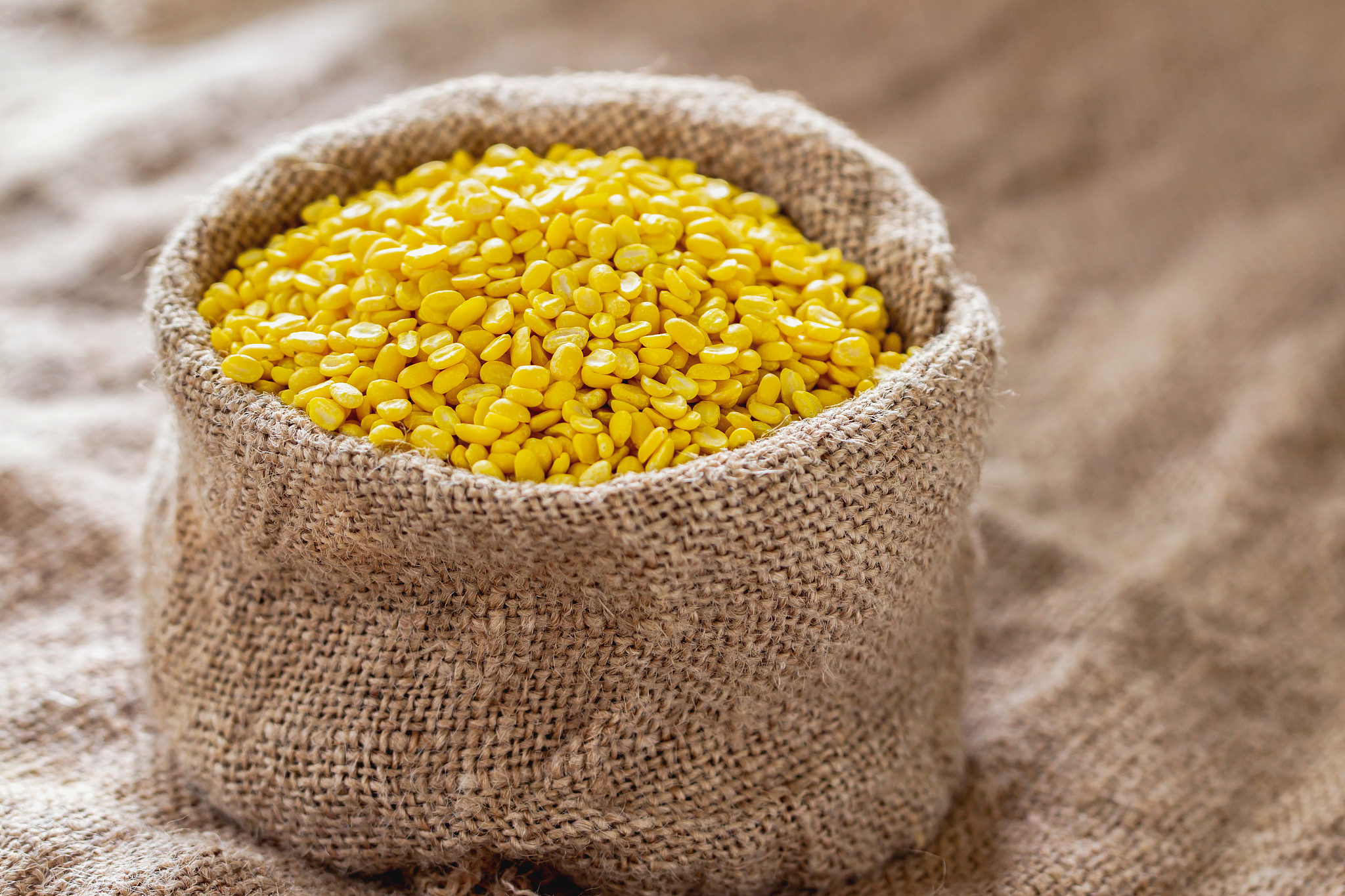 soybean seeds in hemp sacks