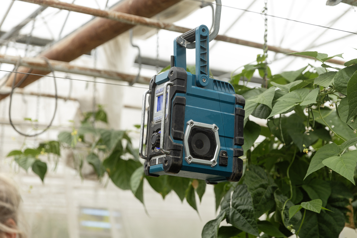 温室自动化系统：提高效率，节约资源 | 智能农业解决方案