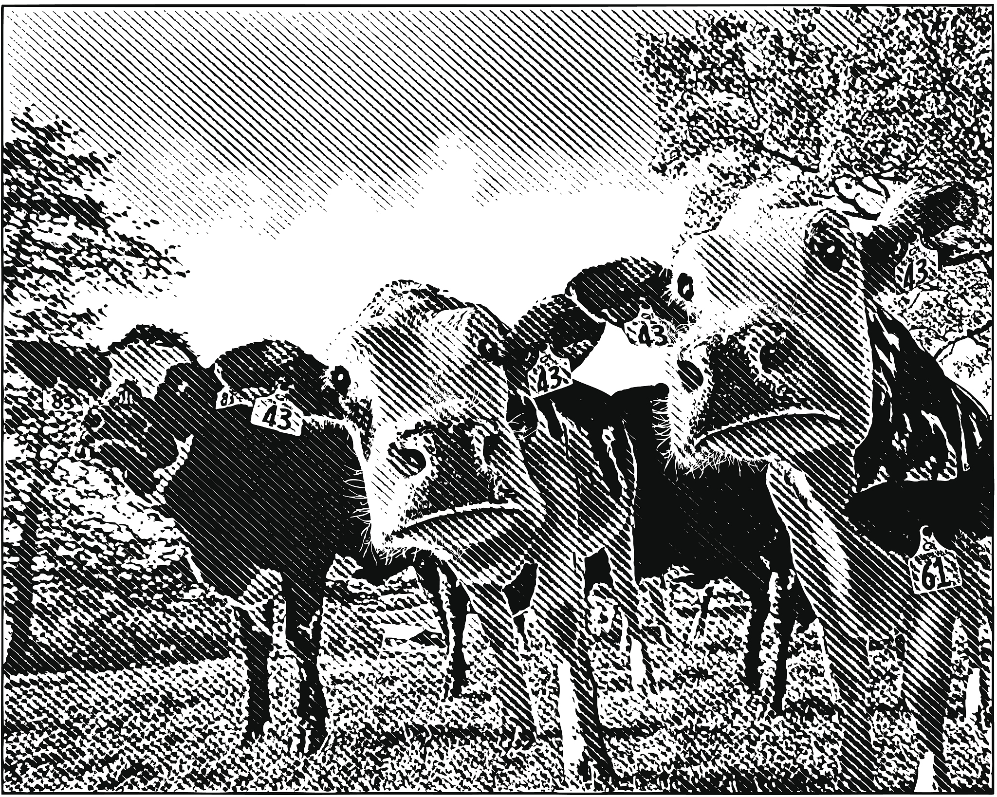 反驳种族主义：无产阶级没有祖国，我们的祖国是全人类