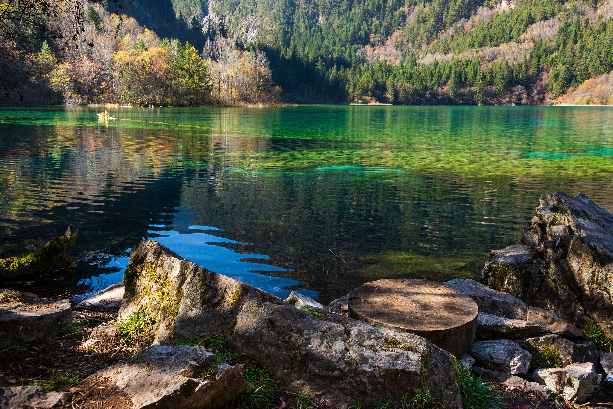 5月去九寨沟旅游攻略：最佳时间、天气、费用及注意事项