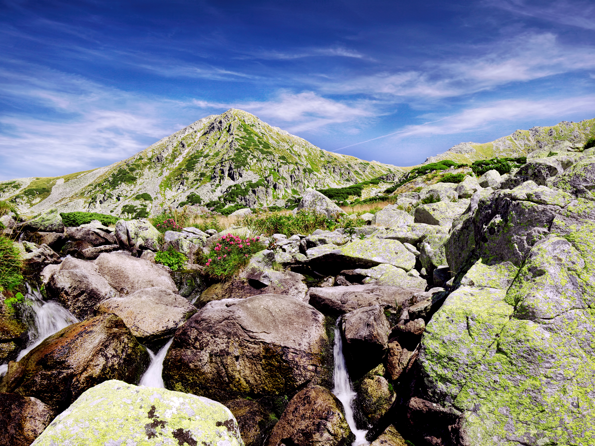 大自然的奥妙真奇特