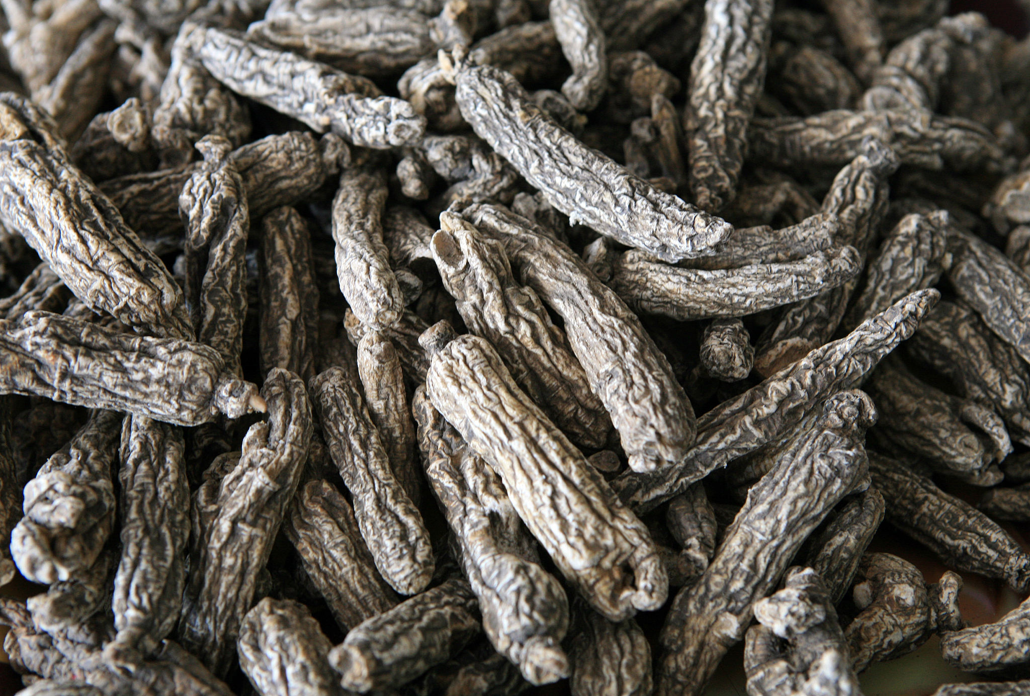 瓮安县中等职业学校2021年招生专业有哪些