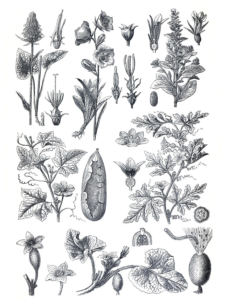 黔东南民族职业技术学院药剂专业课程内容：制药、质量控制、药理学等