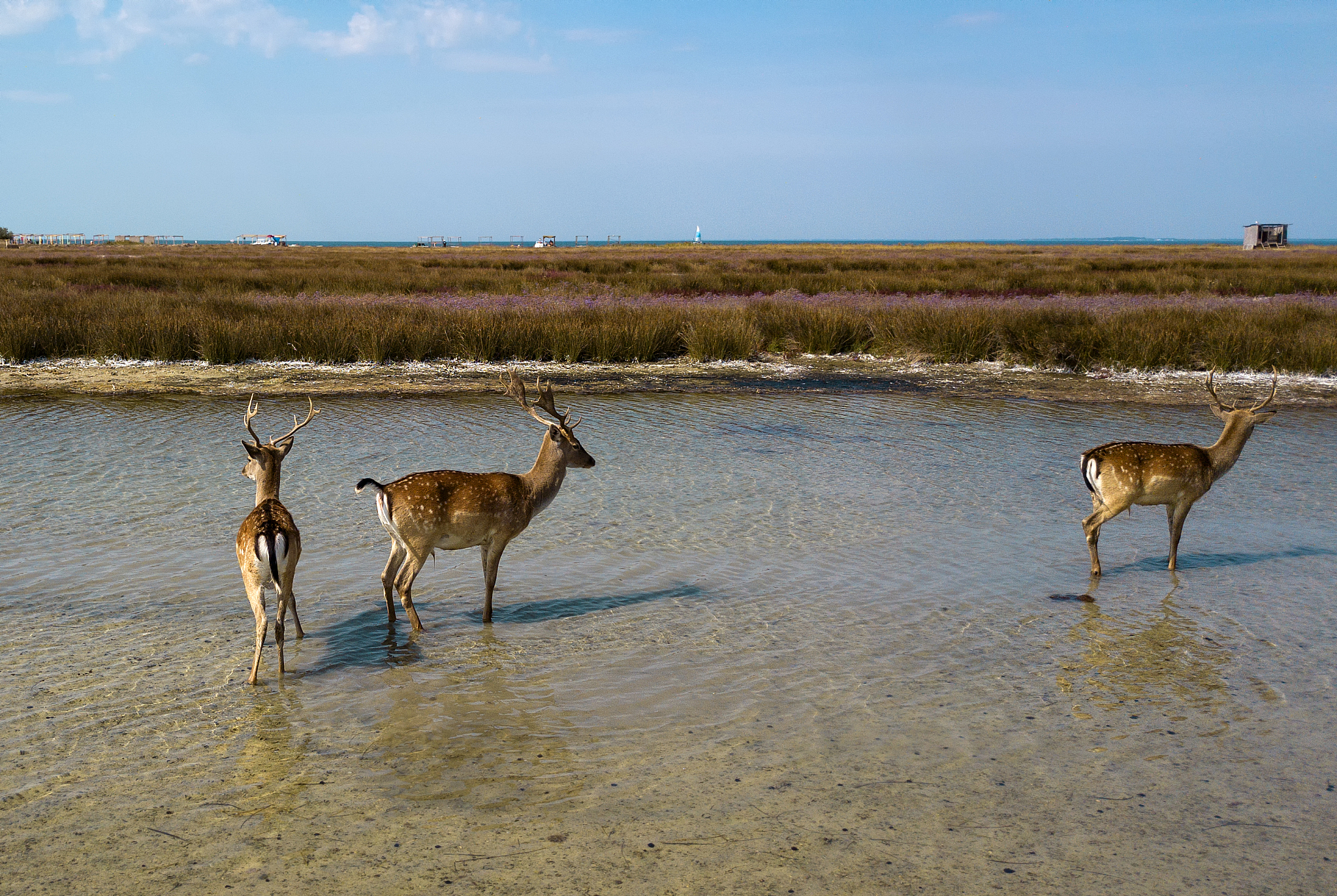 我们有4个人，因为需要排执勤的班次，组织了一个小群，请给这个群起一个搞笑好玩的群名