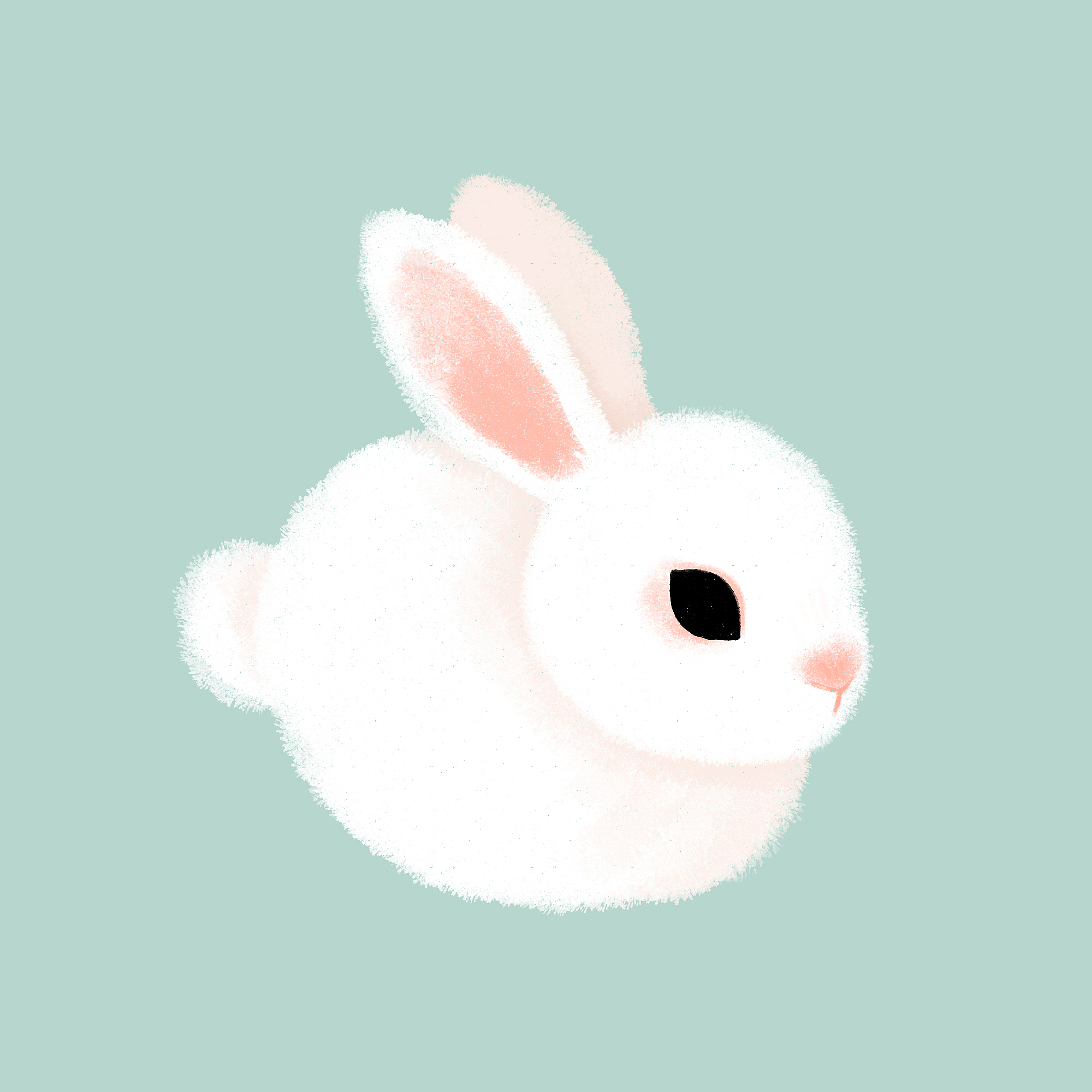 女生问一只小白兔为什么会这么不顺