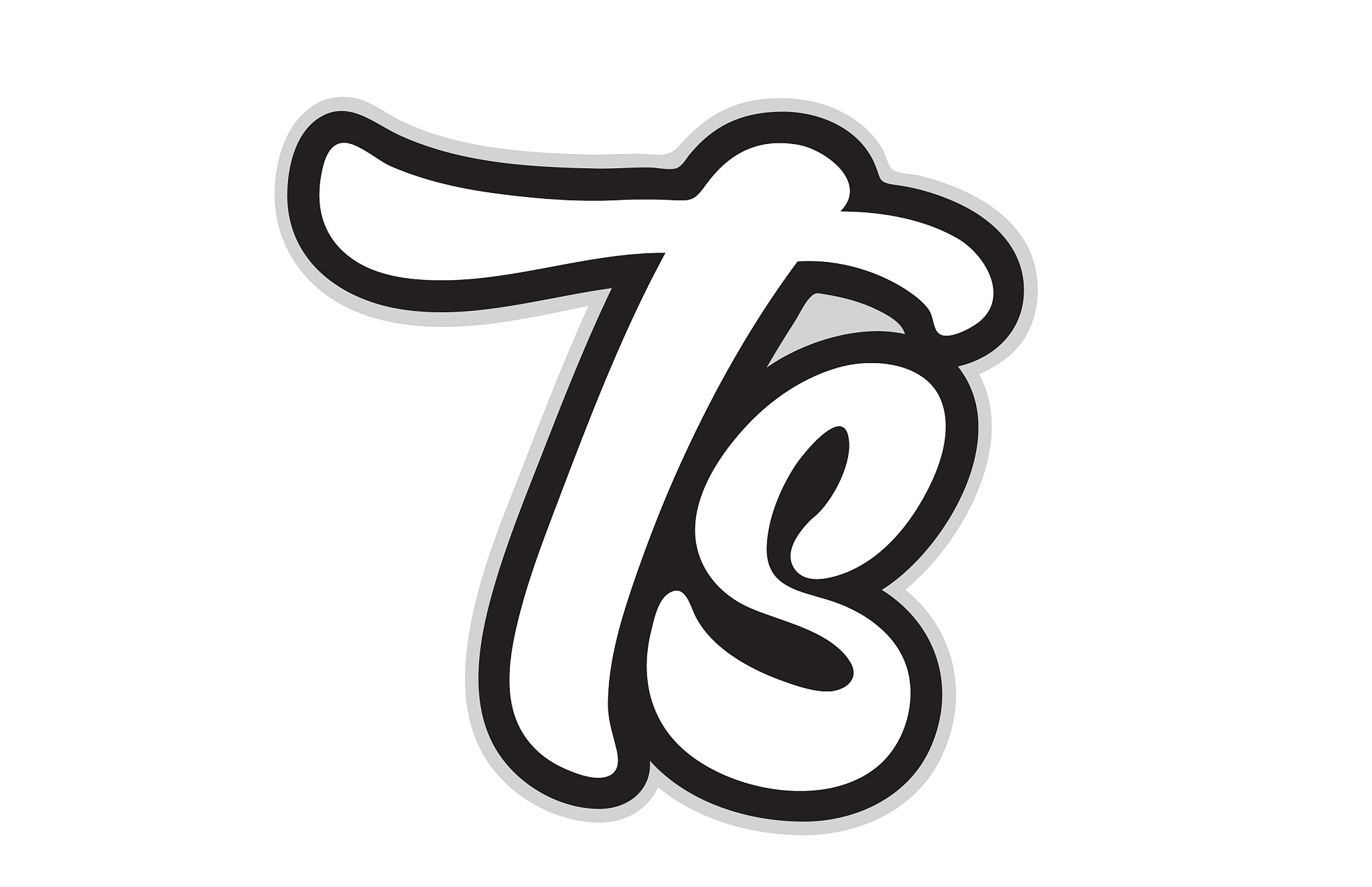 ts t s black and white alphabet letter logo