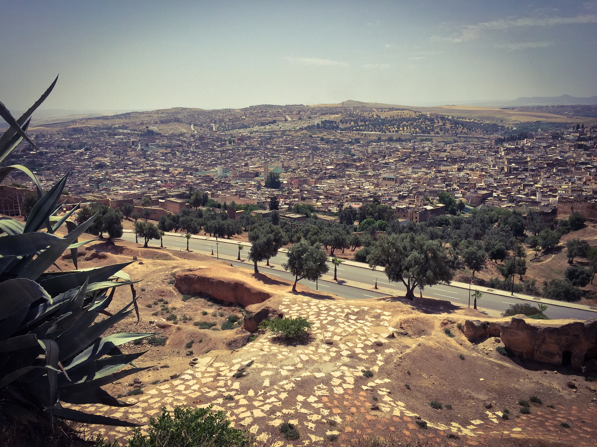 山羊模拟器：古代版 - 全新更新，带你穿越时空！