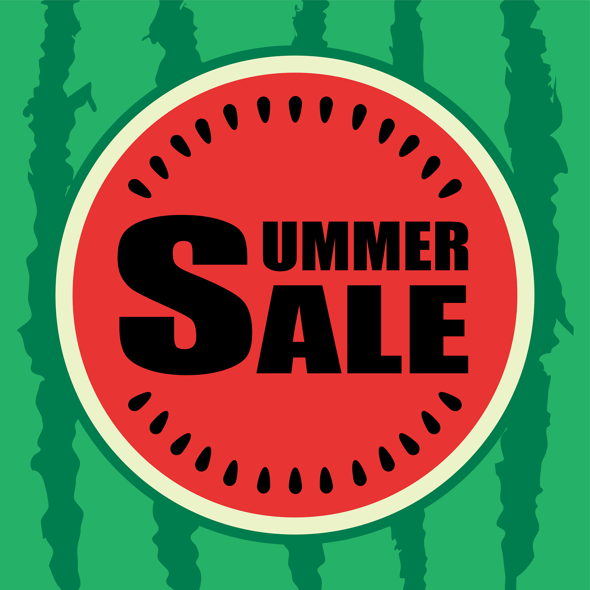 关于西瓜的营销体验实训实训总结字数不低于10000字