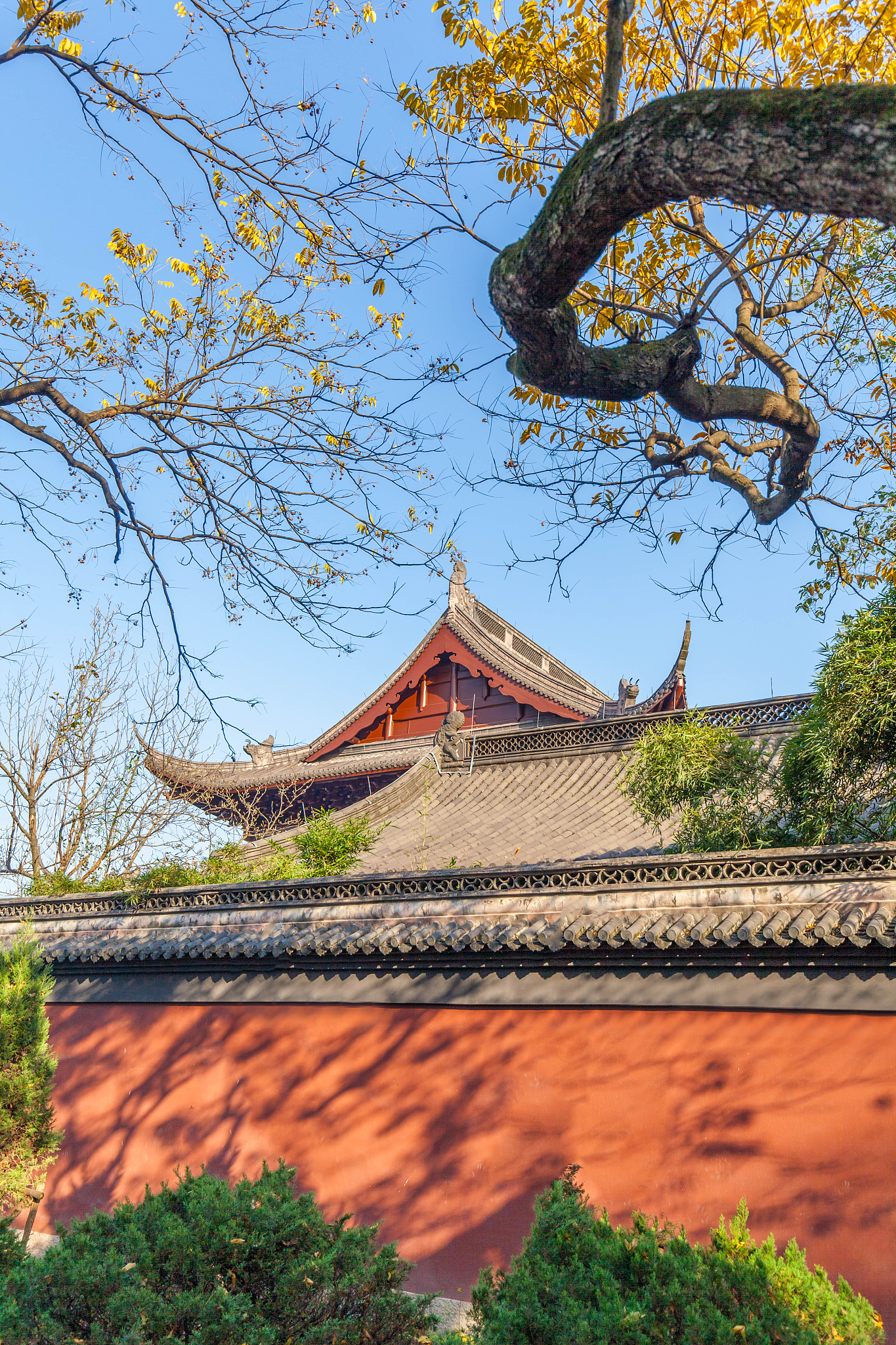 杭州中专学校排名-2023年杭州最好的中专学校有哪些？