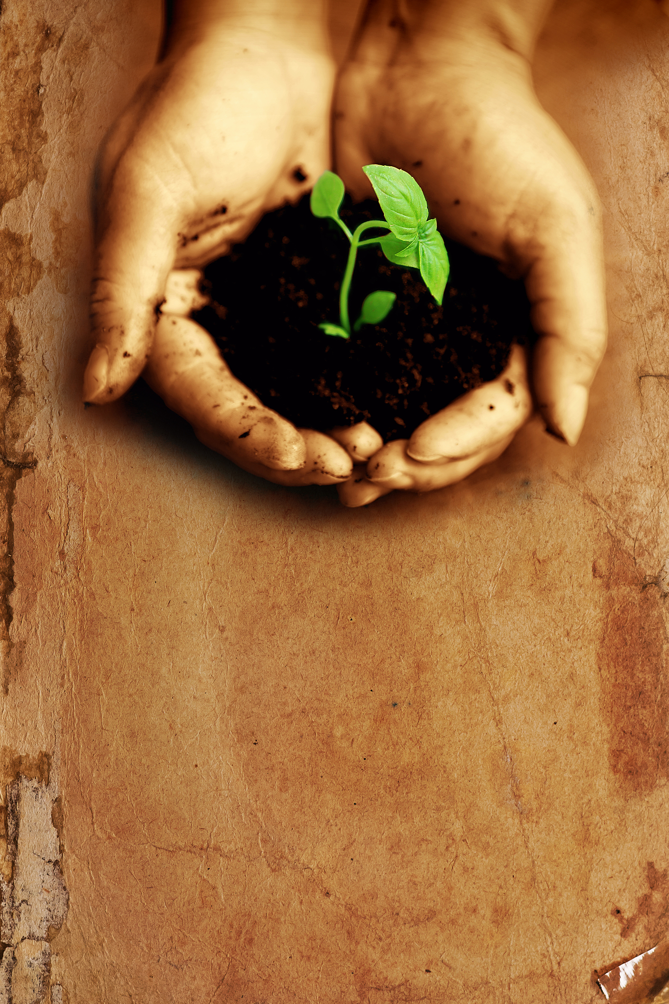 广西毕业论文选题：地方特色研究方向