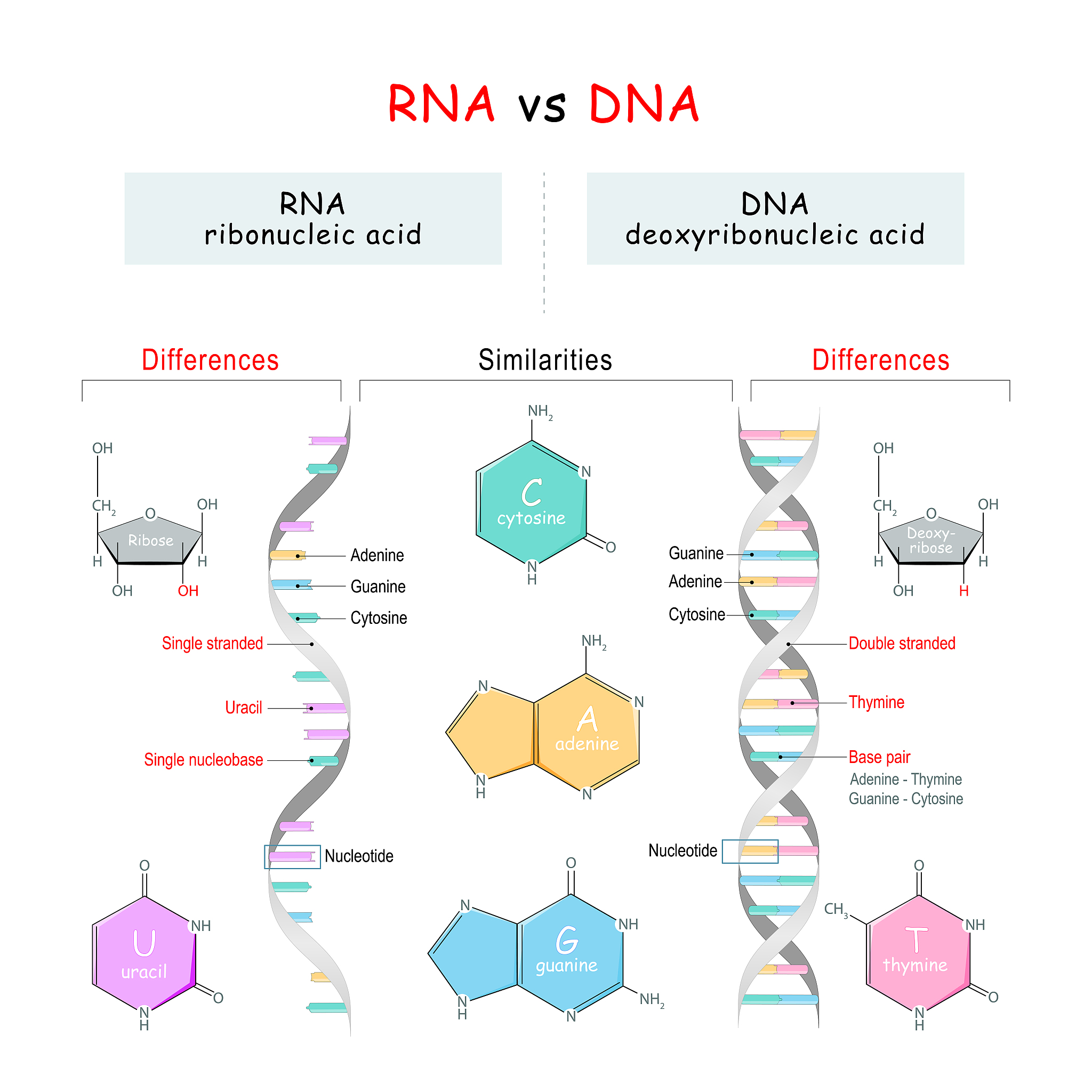Indeed the vanillamodel-agnostic gradient-based meta-learning MAML 6has been extended to graph classification 14 by utilizinggraph neural network GNN as the back-bone model Thekey idea is to learn a G