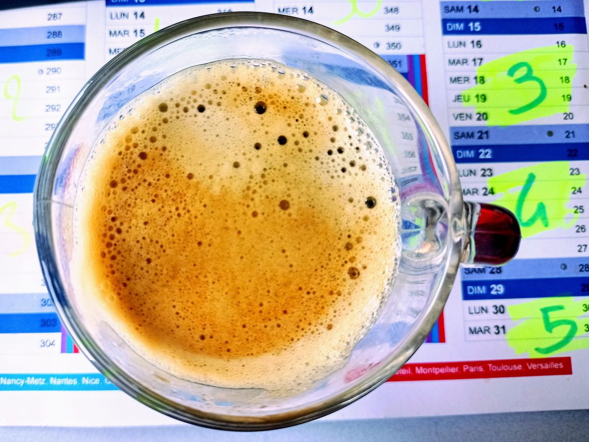 纤维素分解菌的选择培养基