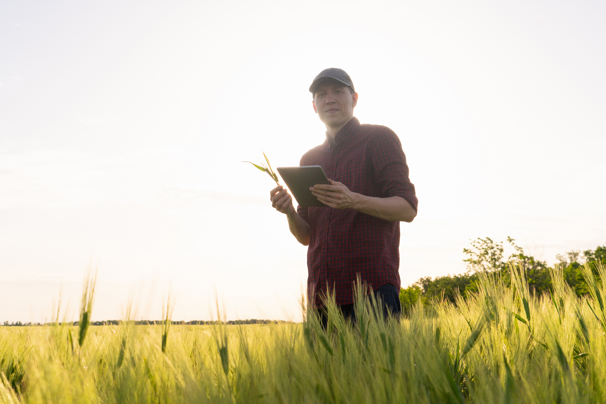 福建农业职业技术学院物联网应用技术专业如何好学吗