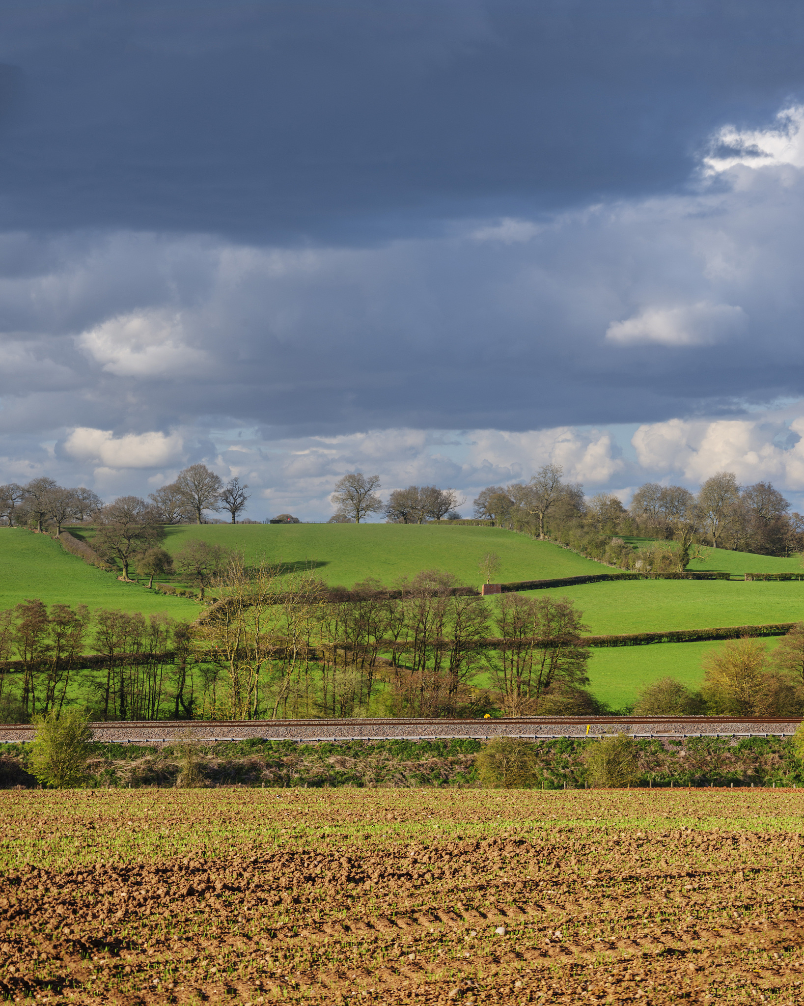 Comprehensive Guide to [Specific Field or Topic]: A Preface