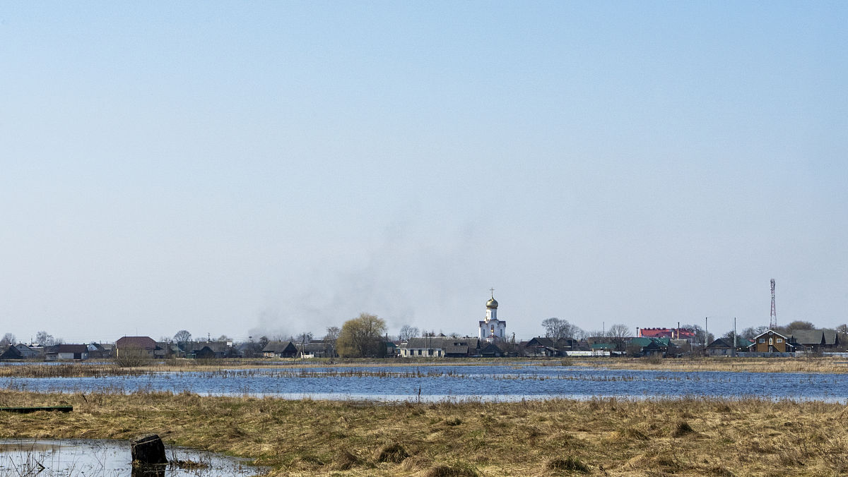 乡村美景：清新空气、田园风光、自然生机