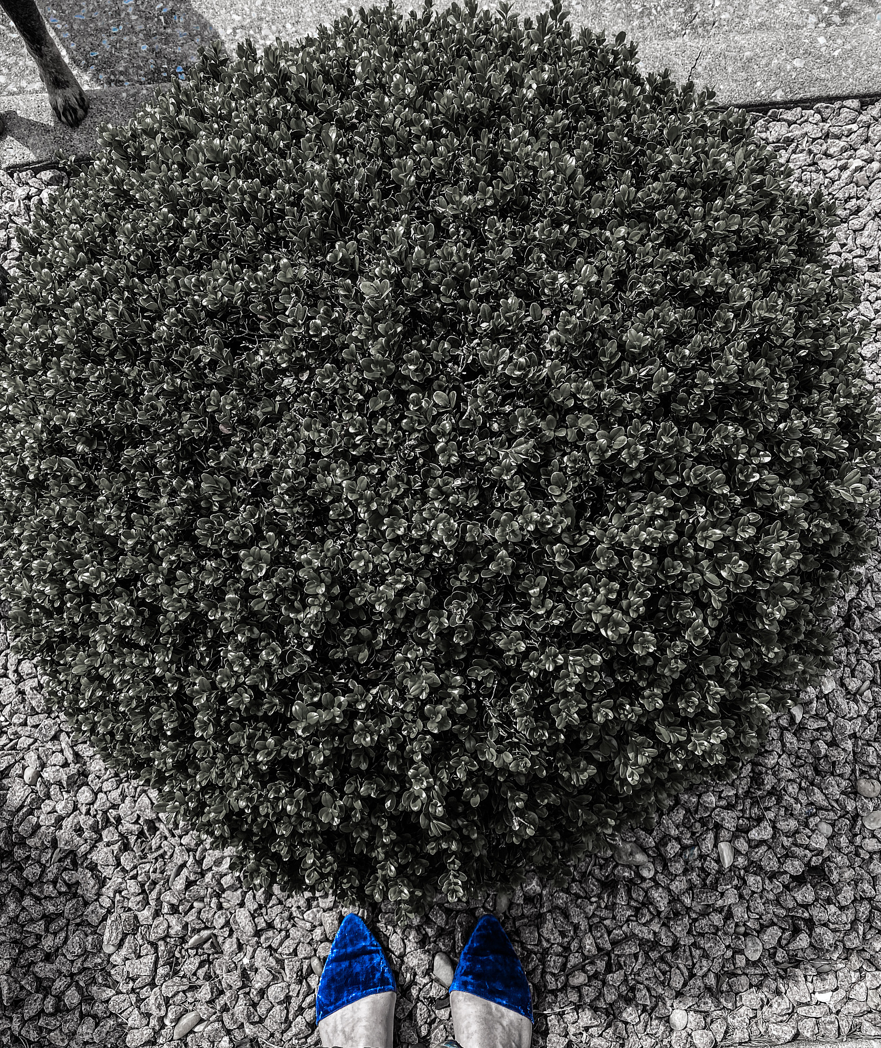 R-T-B系烧结磁石的制造方法