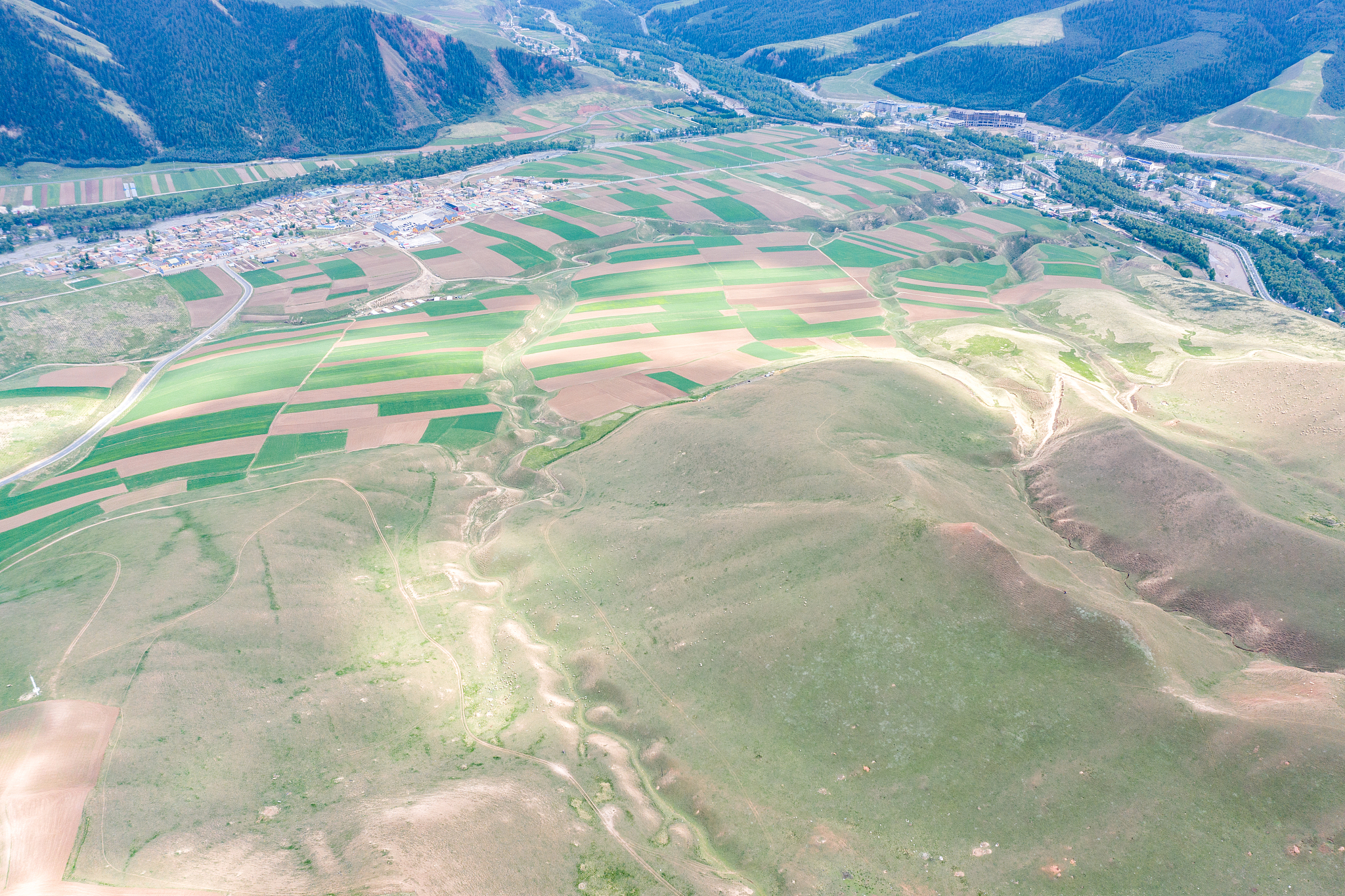 qinghai qilian zall mountain
