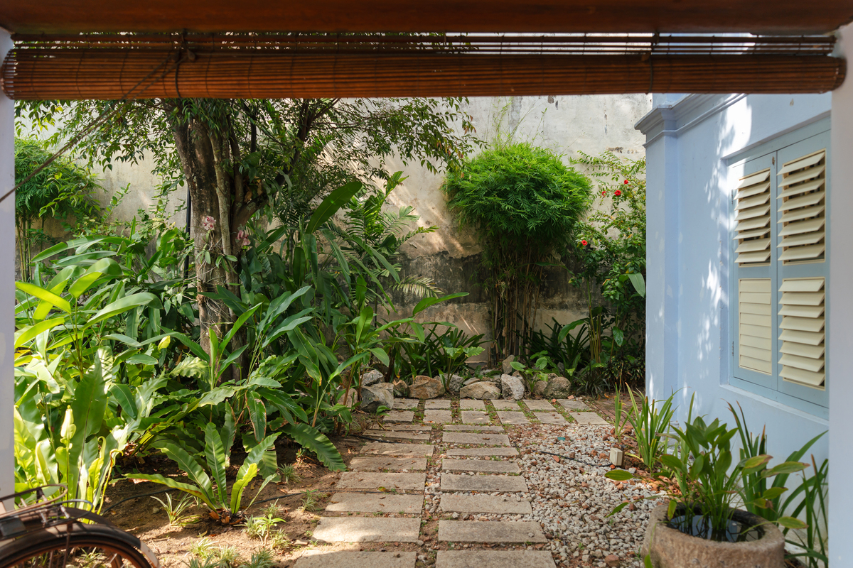 有个靠山的一楼小院过悠闲的生活