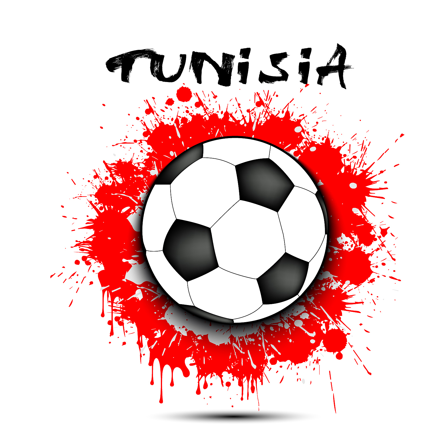 soccer ball and tunisia flag