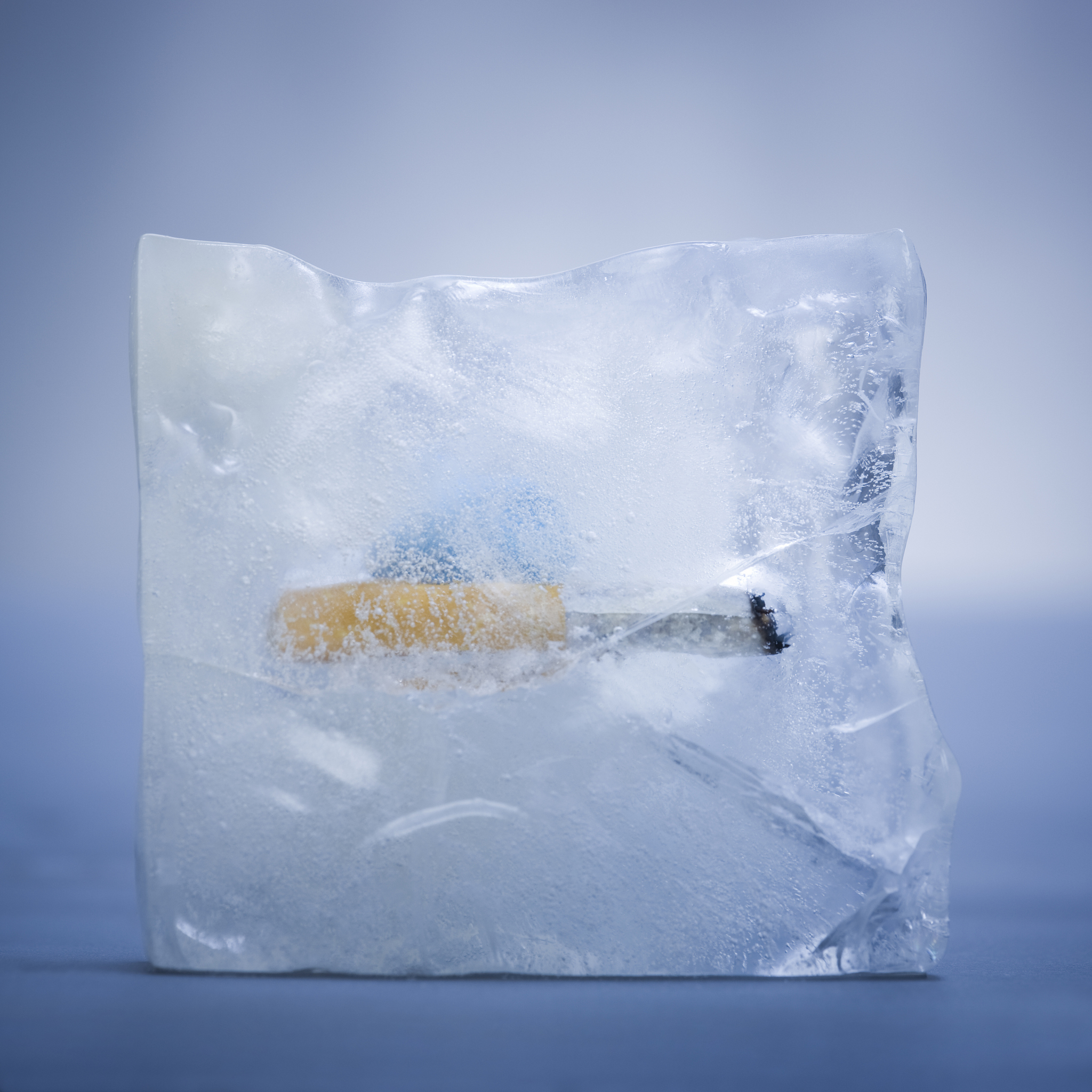 Frozen Vannamei Shrimp Packaging Details - Packed in Plastic Bags and Cartons