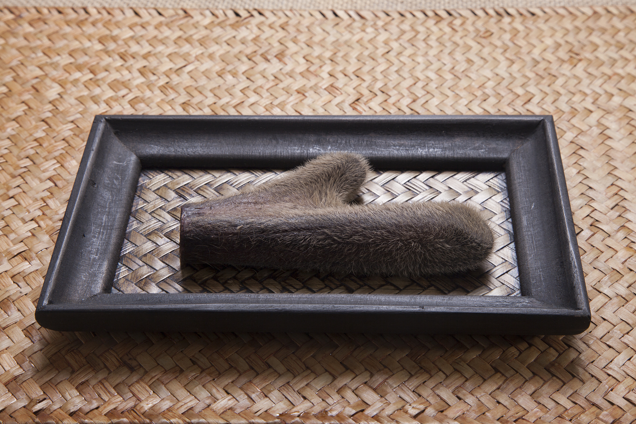 重庆市卫生技工学校中药专业课程设置：学习内容详解