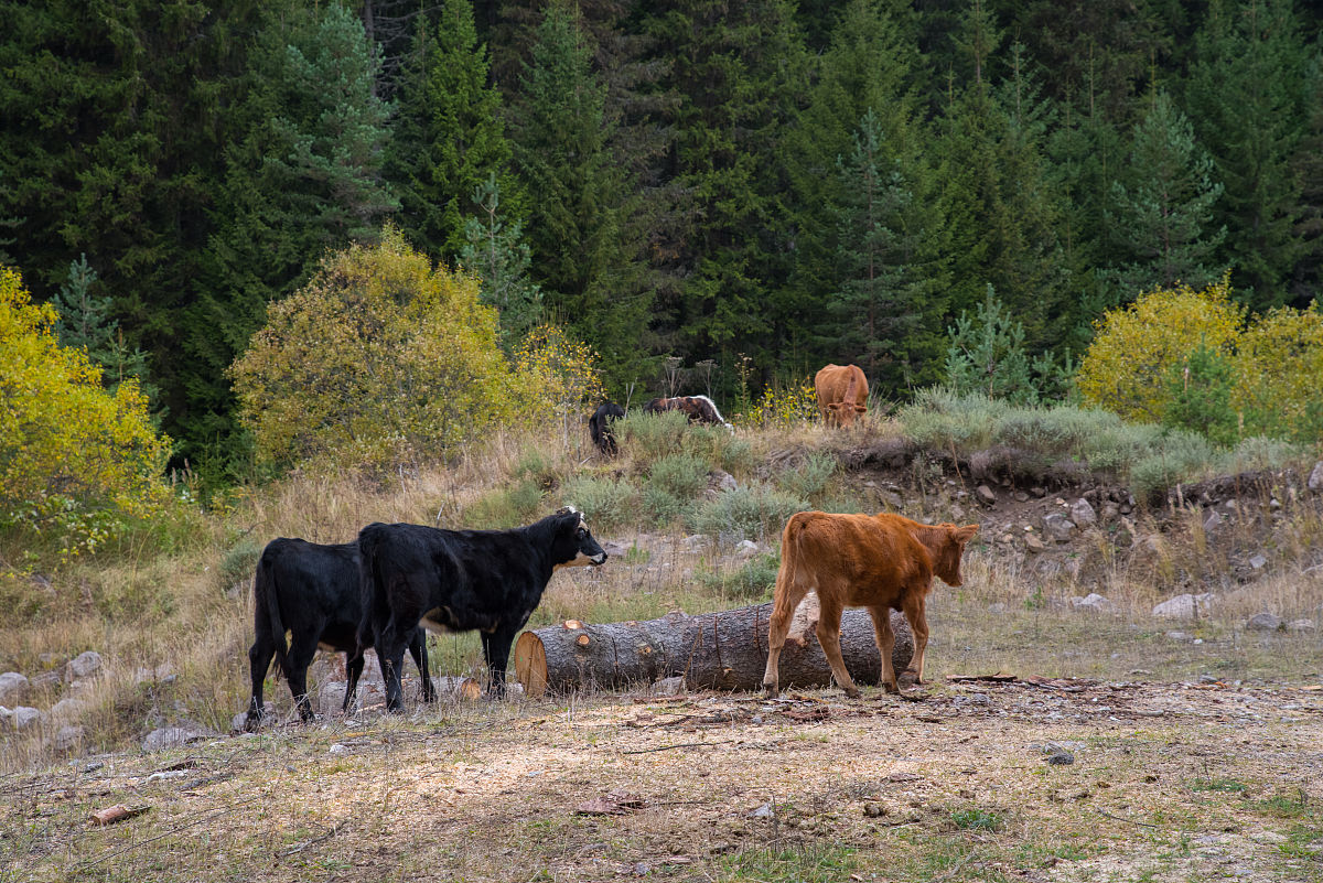 曲靖农业职业学校2023年全日制中专招生：开启农业梦想，成就美好未来
