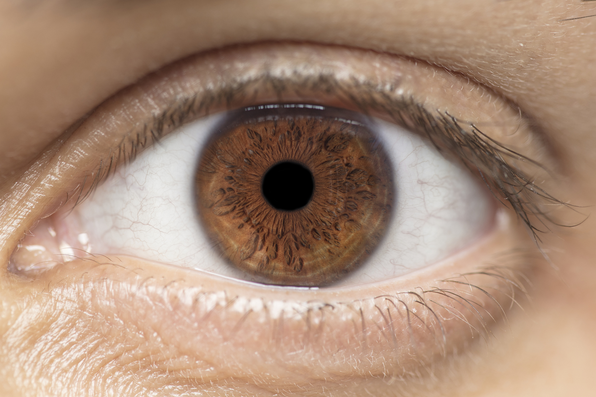 brown textured iris