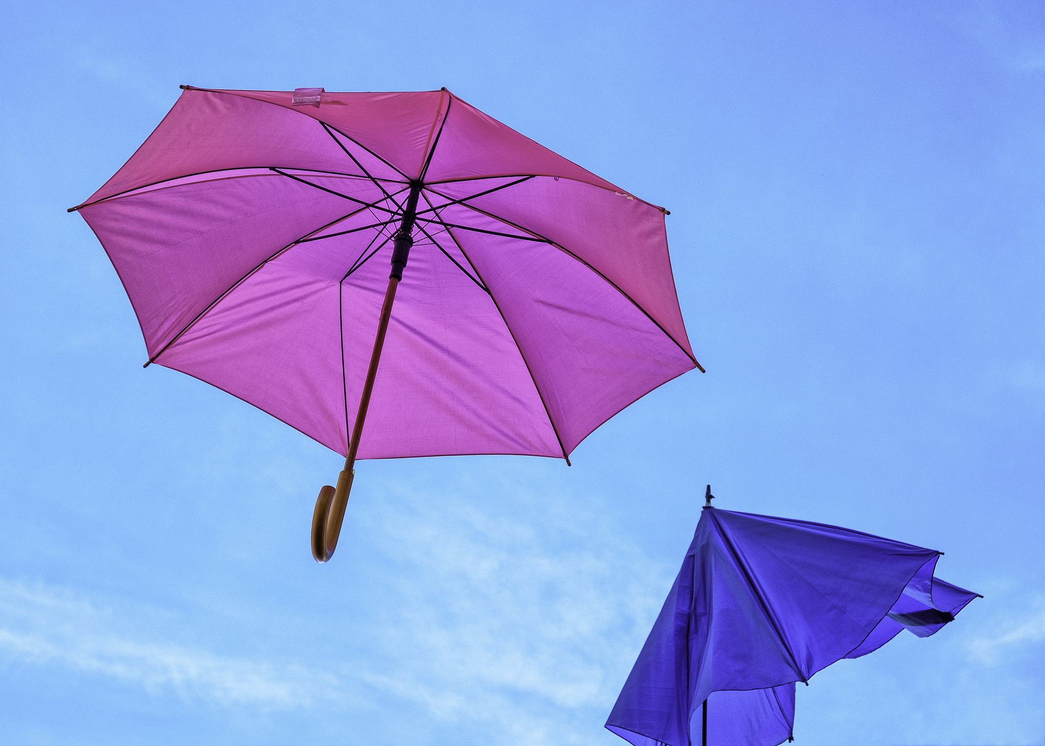 umbrellas
