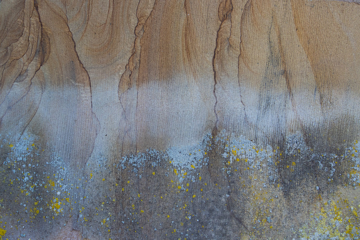 关于'幽州真理'的信息