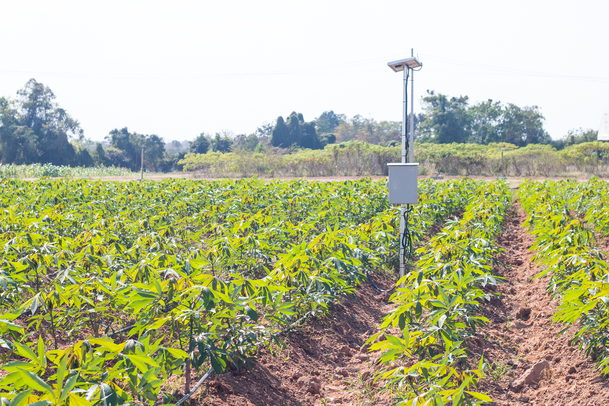 2023年江西农业工程职业学院有什么专业？-怎么样