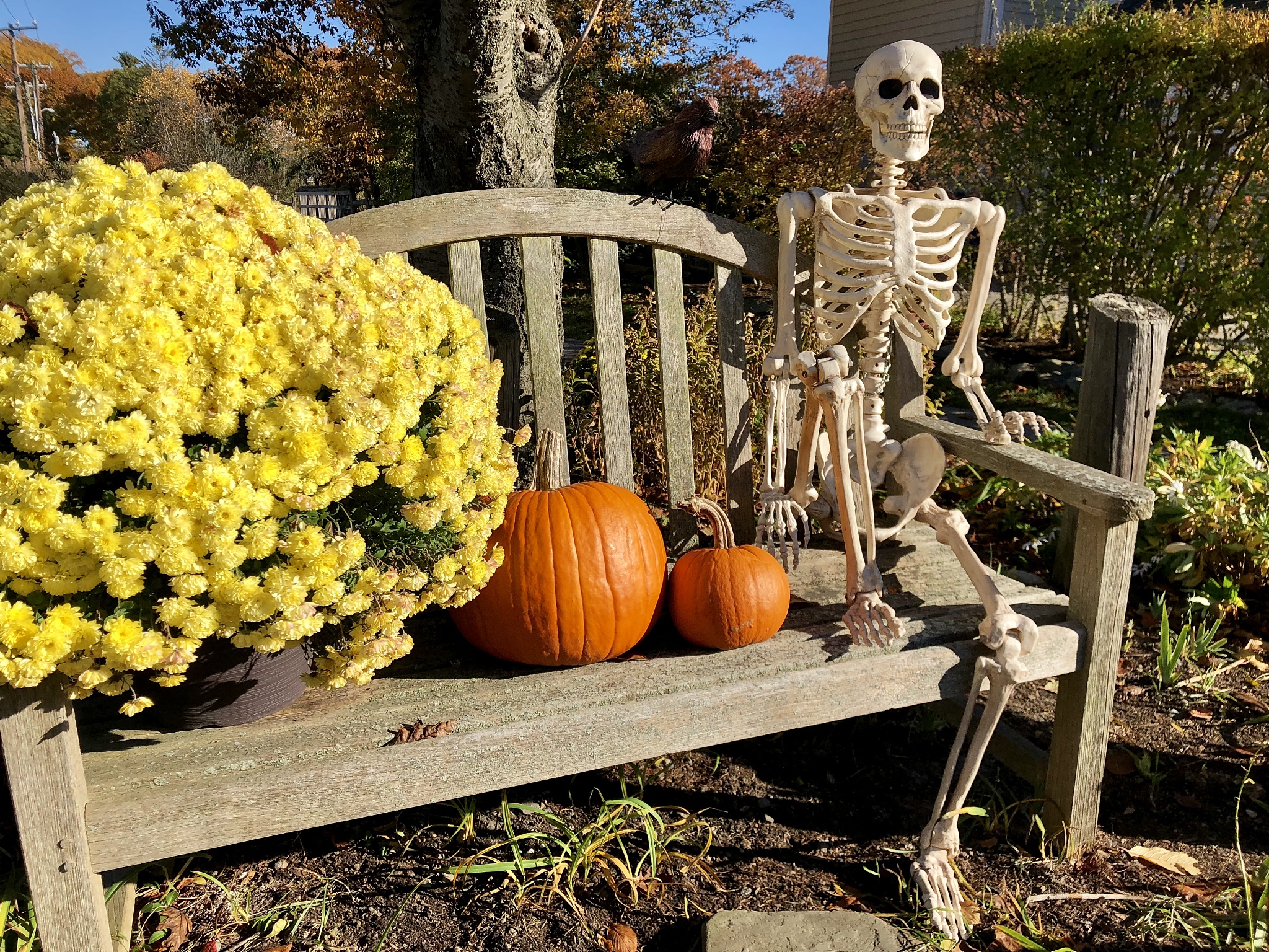 Halloween is a big deal for us Specially my daughter and myself We like to decorate and we put on a haunted house and have friends help us to give out candy and scare the kids I am in charge of