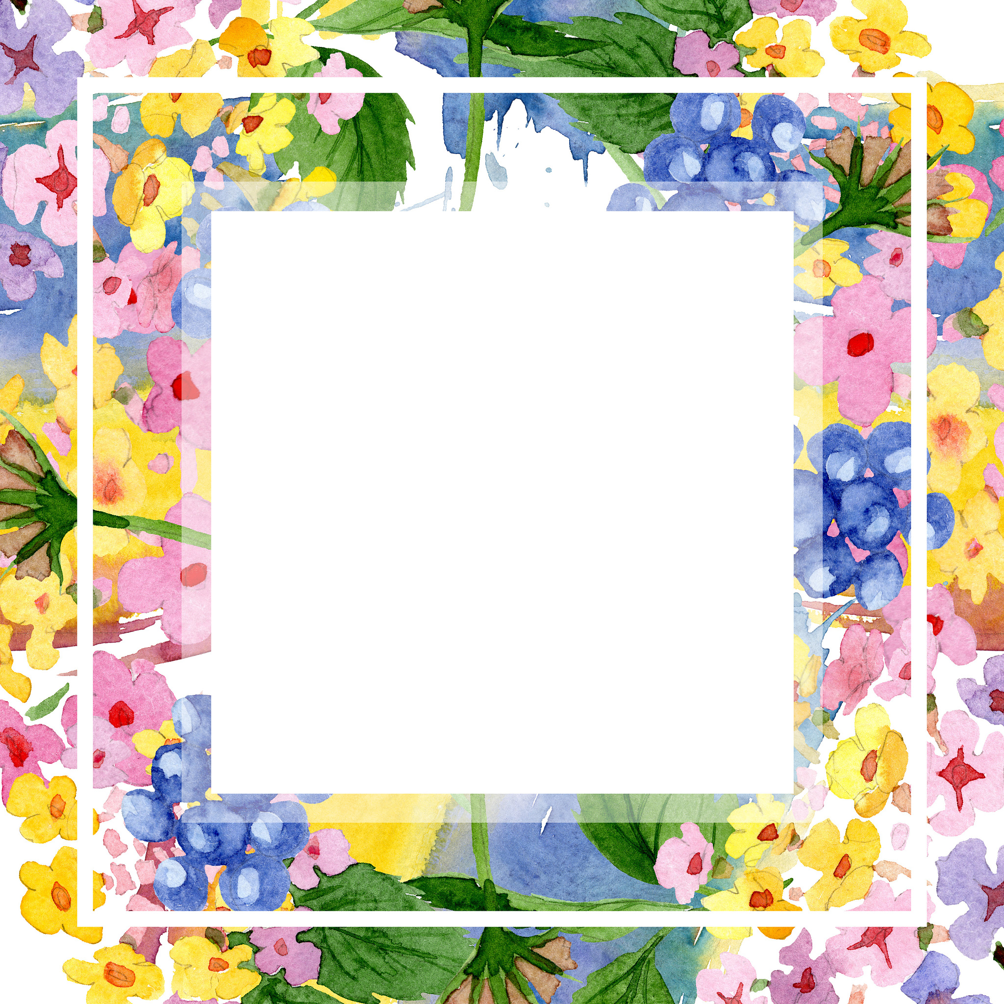 pink lantana floral botanical flower. watercolor background illu