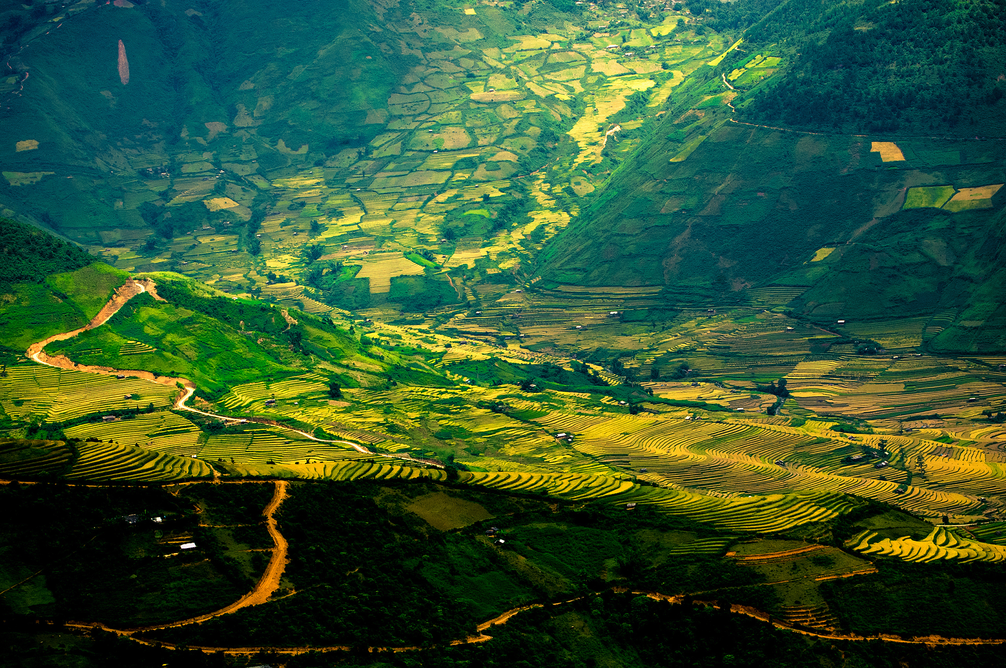 云南师范大学越南语专业：优势、不足及就业前景